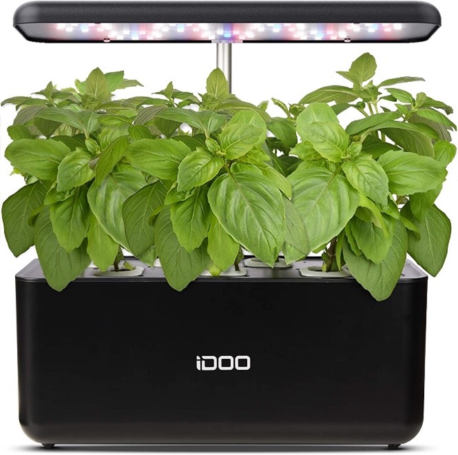 hydroponics for kids
